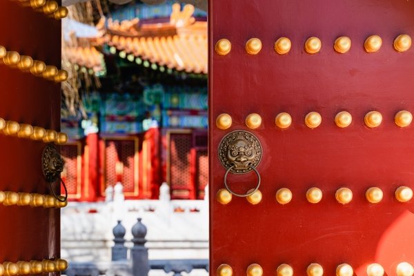 wp header logo 36.png