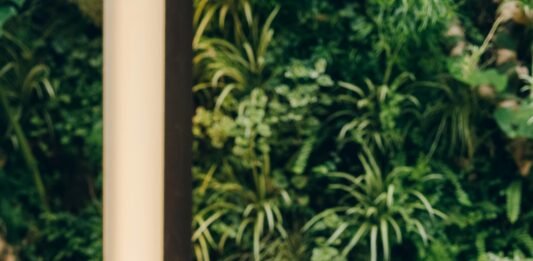 Bank Midwest launches new digital bank for US healthcare industry powered by Finastra Bank Midwest launches new digital bank for US healthcare industry powered by Finastra