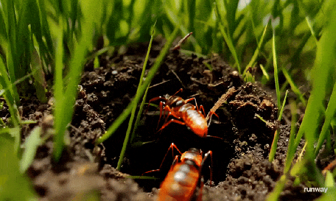 Runway’s new video-generating AI, Gen-3, offers improved controls