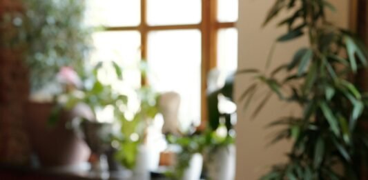 Qonto receives order from Banca d’Italia to improve AML measures in its Italian subsidiary Qonto receives order from Banca d’Italia to improve AML measures in its Italian subsidiary